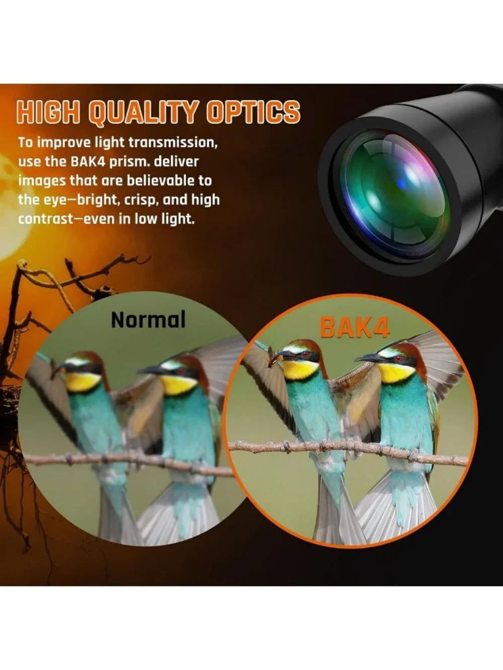 High Power 20x50 Binoculars for Adults - Low Light Night Vision, Waterproof